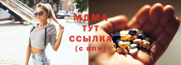 дмт Богданович