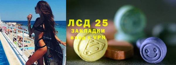 ешки Белокуриха