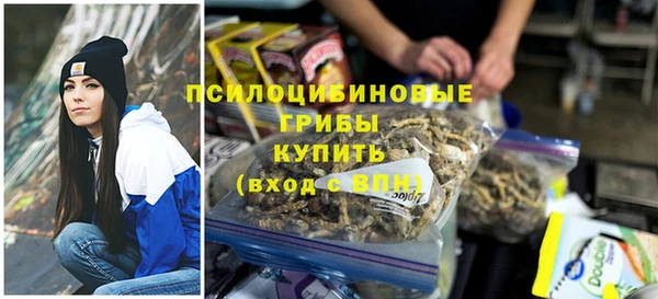 ешки Белокуриха