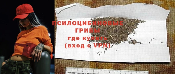 2c-b Богородск